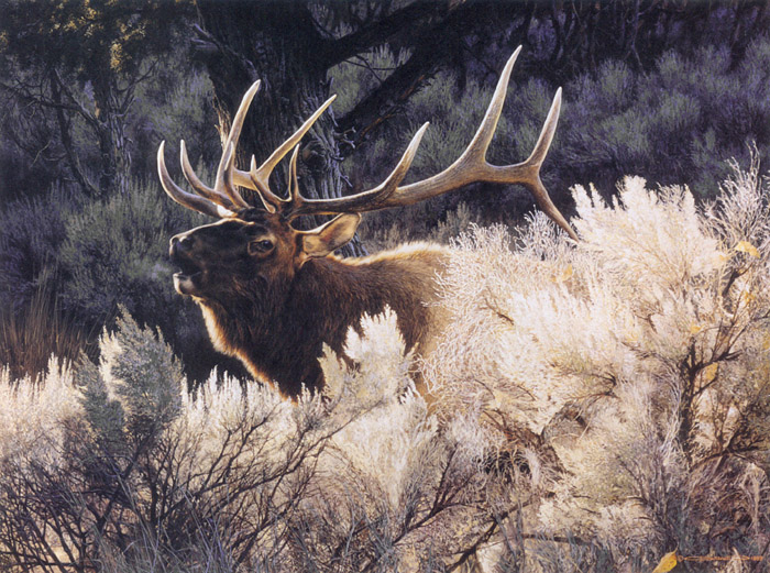 Reproductions of Carl Brenders Paintings Indian Summer-Bugling E Reproductions of Carl Brenders Paintings Indian Summer-Bugling E